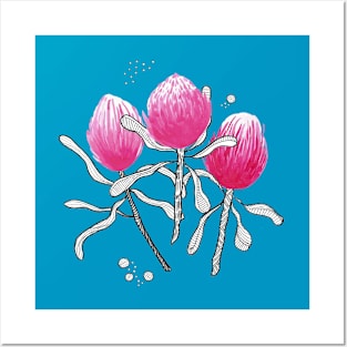 Painted Pink proteas Posters and Art